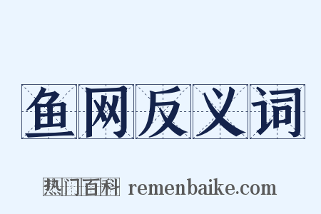 鱼网反义词是什么意思的图片